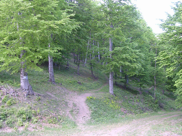 A képhez tartozó alt jellemző üres; 20241018_101325.jpg a fájlnév