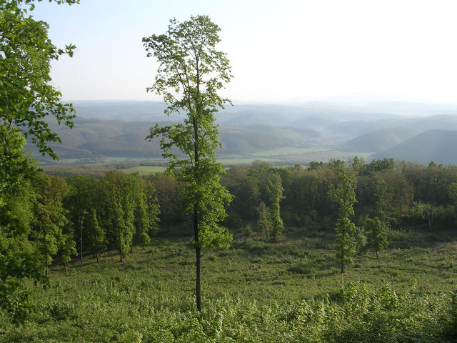 A képhez tartozó alt jellemző üres; 20241018_101325.jpg a fájlnév