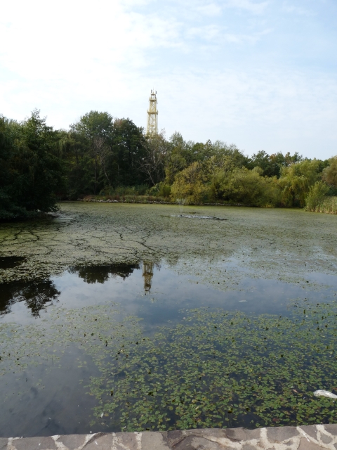 A képhez tartozó alt jellemző üres; 20241018_101325.jpg a fájlnév