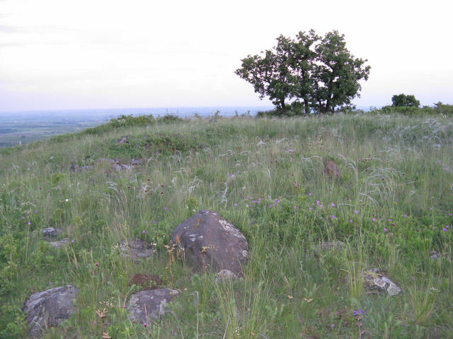 A képhez tartozó alt jellemző üres; 20241018_101325.jpg a fájlnév