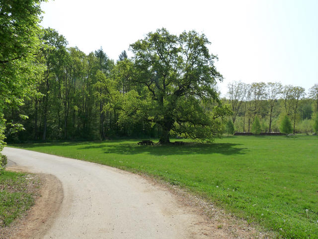 A képhez tartozó alt jellemző üres; 20241018_101325.jpg a fájlnév