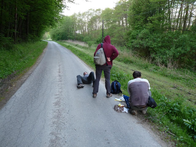 A képhez tartozó alt jellemző üres; 20241018_101325.jpg a fájlnév