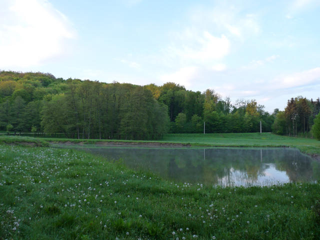 A képhez tartozó alt jellemző üres; 20241018_101325.jpg a fájlnév