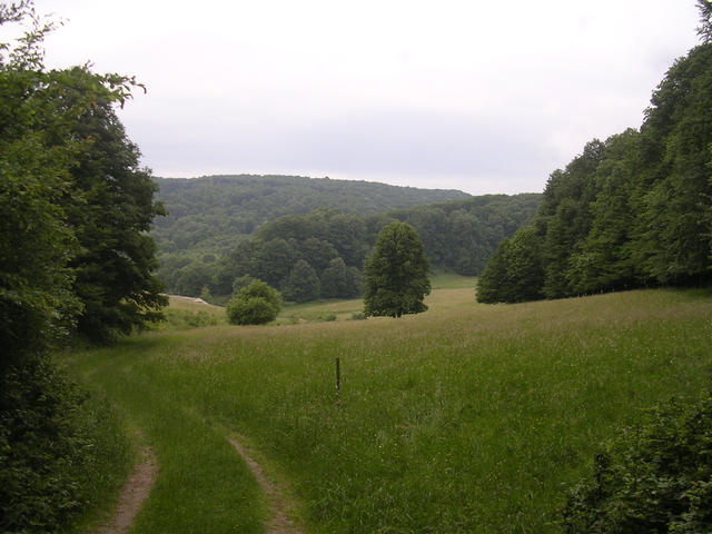 A képhez tartozó alt jellemző üres; 20241018_101325.jpg a fájlnév