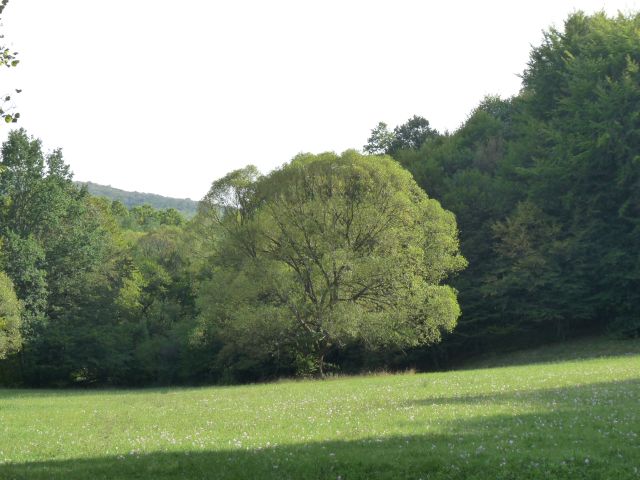 A képhez tartozó alt jellemző üres; 20241018_101325.jpg a fájlnév