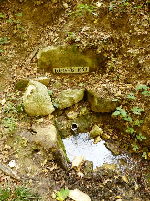 A képhez tartozó alt jellemző üres; 20241018_101325.jpg a fájlnév