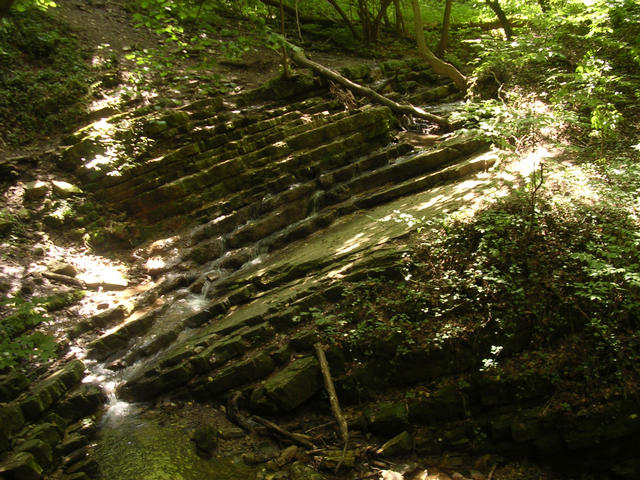 A képhez tartozó alt jellemző üres; 20241018_101325.jpg a fájlnév