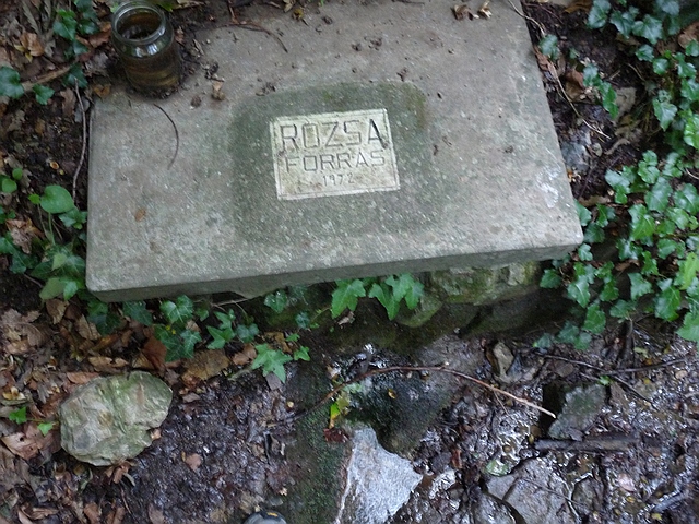 A képhez tartozó alt jellemző üres; 20241018_101325.jpg a fájlnév