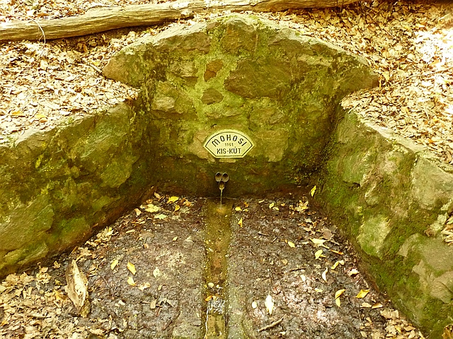A képhez tartozó alt jellemző üres; 20241018_101325.jpg a fájlnév