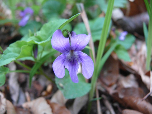 A képhez tartozó alt jellemző üres; 20241018_101325.jpg a fájlnév