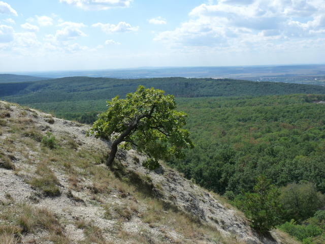 A képhez tartozó alt jellemző üres; 20241018_101325.jpg a fájlnév