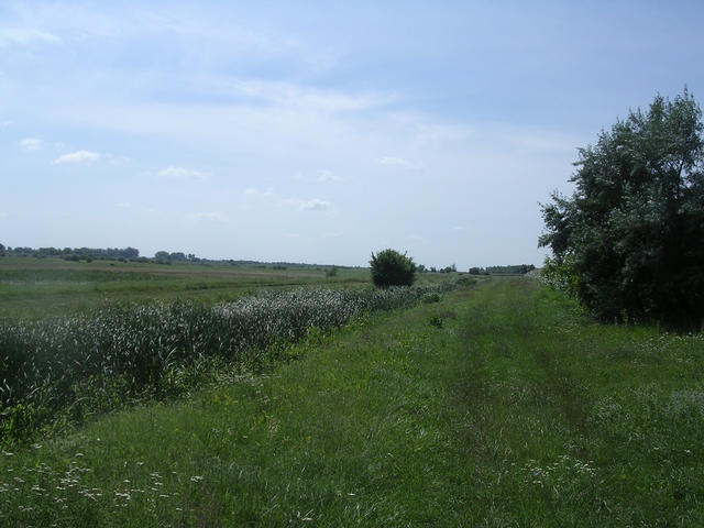 A képhez tartozó alt jellemző üres; 20241018_101325.jpg a fájlnév