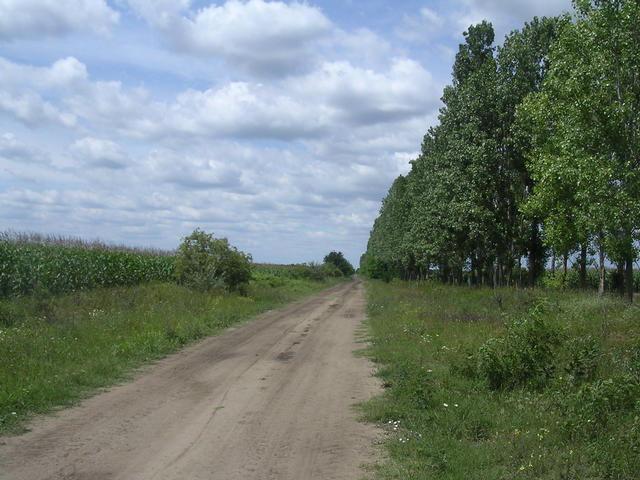 A képhez tartozó alt jellemző üres; 20241018_101325.jpg a fájlnév