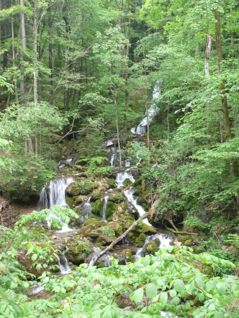 A képhez tartozó alt jellemző üres; 20241018_101325.jpg a fájlnév