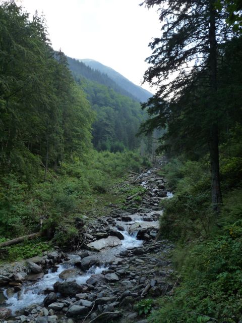 A képhez tartozó alt jellemző üres; 20241018_101325.jpg a fájlnév