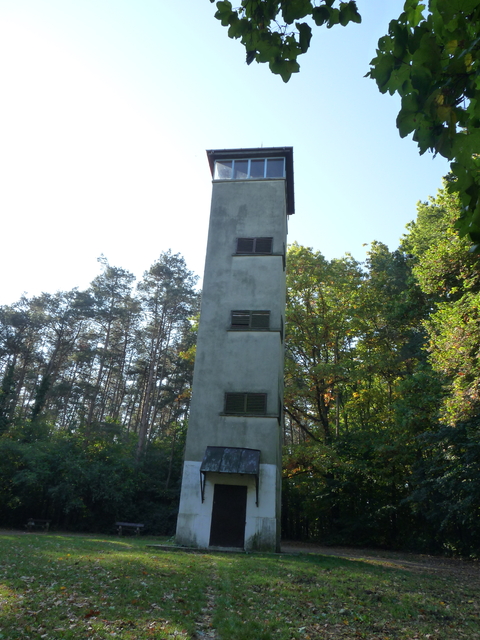 A képhez tartozó alt jellemző üres; 20241018_101325.jpg a fájlnév