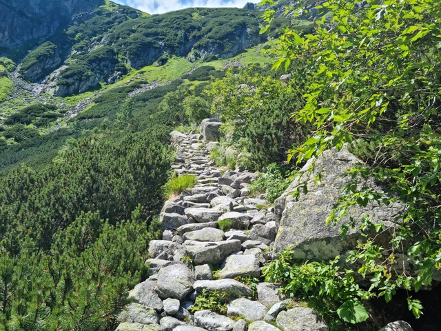 A képhez tartozó alt jellemző üres; 20241018_101325.jpg a fájlnév