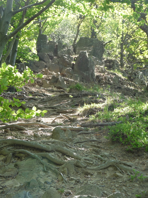 A képhez tartozó alt jellemző üres; 20241018_101325.jpg a fájlnév