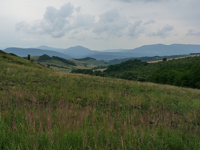 A képhez tartozó alt jellemző üres; 20241018_101325.jpg a fájlnév
