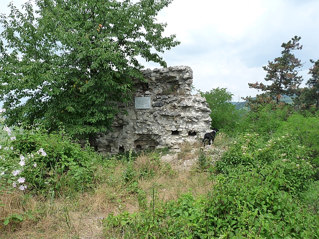 A képhez tartozó alt jellemző üres; 20241018_101325.jpg a fájlnév