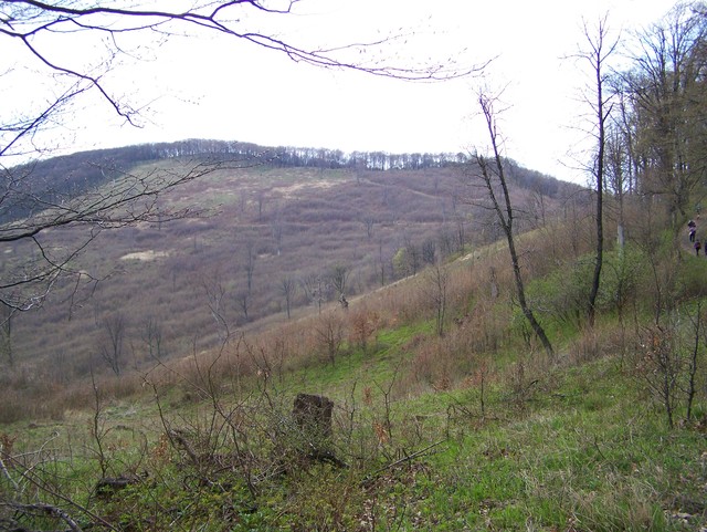 A képhez tartozó alt jellemző üres; 20241018_101325.jpg a fájlnév