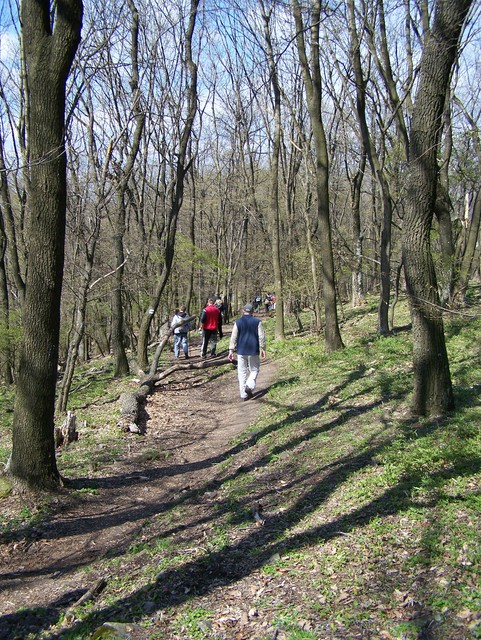 A képhez tartozó alt jellemző üres; 20241018_101325.jpg a fájlnév