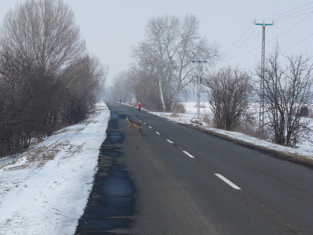 A képhez tartozó alt jellemző üres; 20241018_101325.jpg a fájlnév