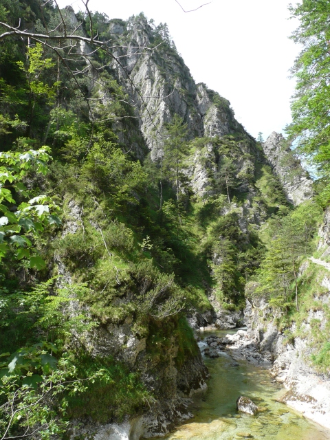 A képhez tartozó alt jellemző üres; 20241018_101325.jpg a fájlnév