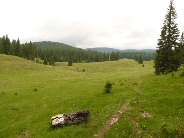 A képhez tartozó alt jellemző üres; 20241018_101325.jpg a fájlnév
