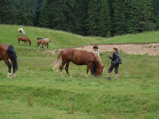 A képhez tartozó alt jellemző üres; 20241018_101325.jpg a fájlnév