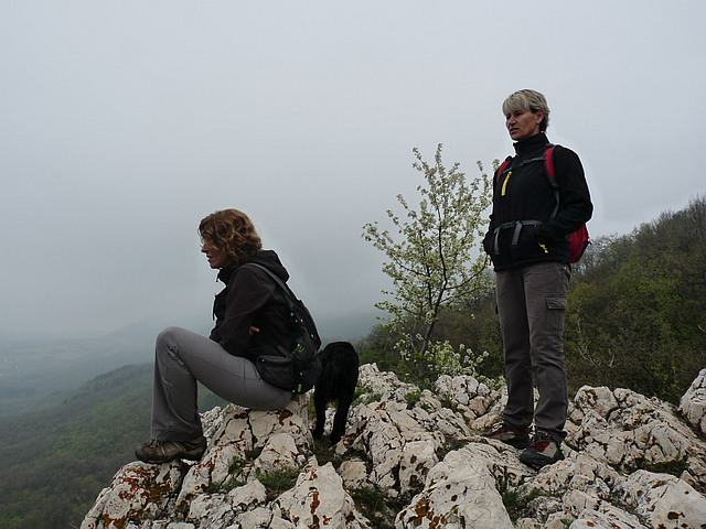 A képhez tartozó alt jellemző üres; 20241018_101325.jpg a fájlnév