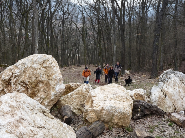 A képhez tartozó alt jellemző üres; 20241018_101325.jpg a fájlnév