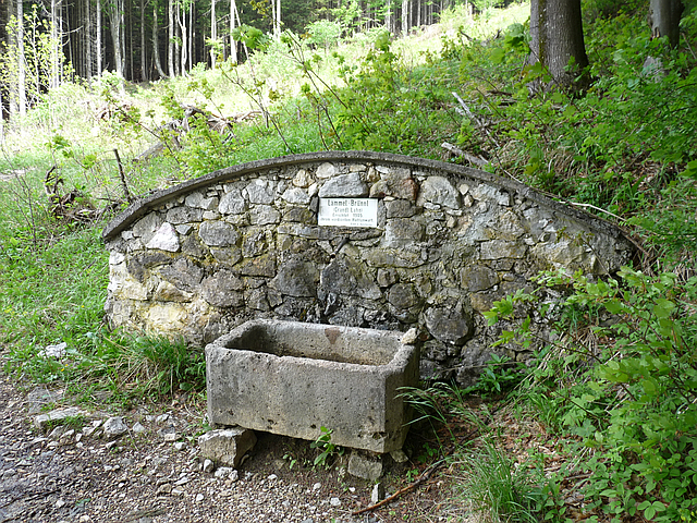 A képhez tartozó alt jellemző üres; 20241018_101325.jpg a fájlnév