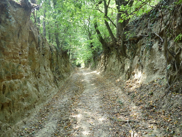 A képhez tartozó alt jellemző üres; 20241018_101325.jpg a fájlnév