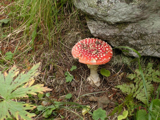 A képhez tartozó alt jellemző üres; 20241018_101325.jpg a fájlnév