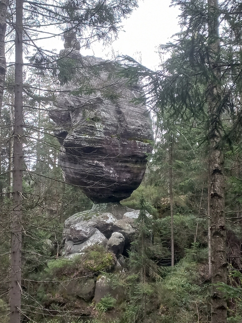 A képhez tartozó alt jellemző üres; 20241018_101325.jpg a fájlnév