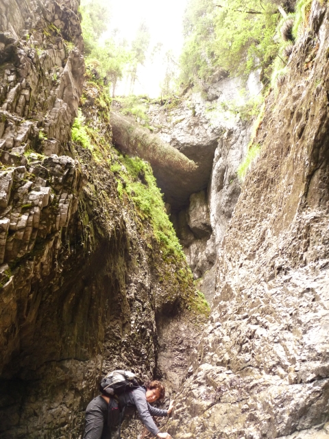 A képhez tartozó alt jellemző üres; 20241018_101325.jpg a fájlnév