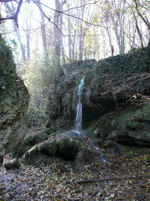 A képhez tartozó alt jellemző üres; 20241018_101325.jpg a fájlnév