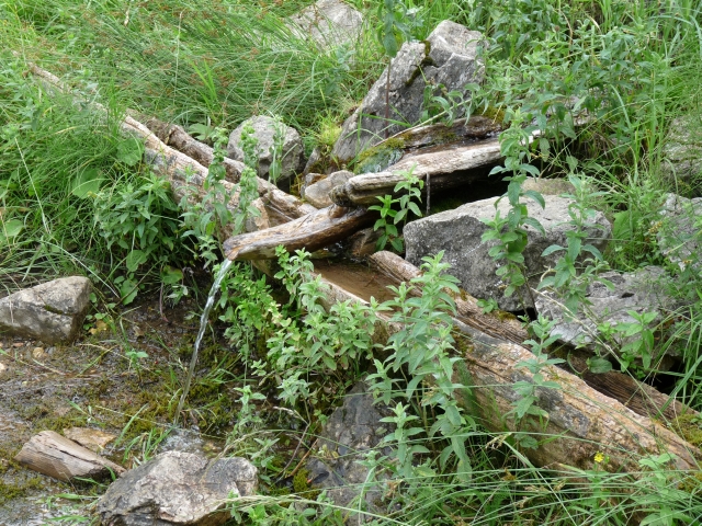 A képhez tartozó alt jellemző üres; 20241018_101325.jpg a fájlnév
