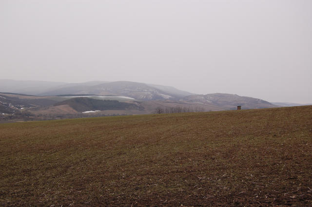 A képhez tartozó alt jellemző üres; 20241018_101325.jpg a fájlnév