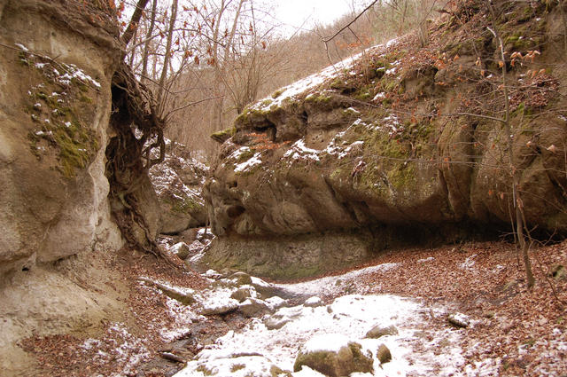 A képhez tartozó alt jellemző üres; 20241018_101325.jpg a fájlnév