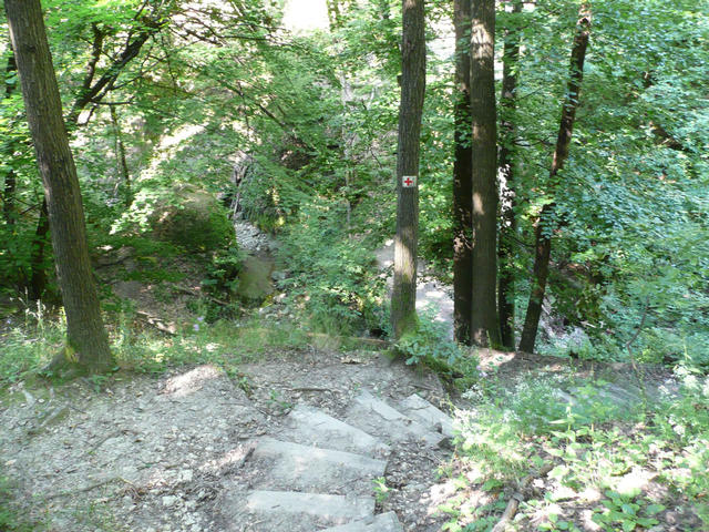 A képhez tartozó alt jellemző üres; 20241018_101325.jpg a fájlnév