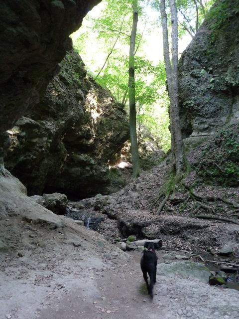 A képhez tartozó alt jellemző üres; 20241018_101325.jpg a fájlnév