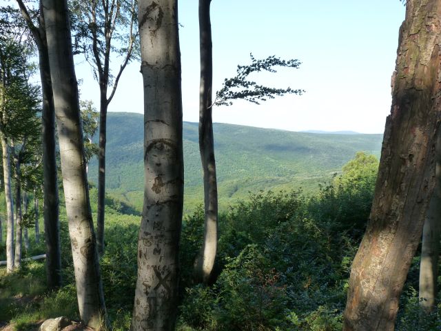 A képhez tartozó alt jellemző üres; 20241018_101325.jpg a fájlnév