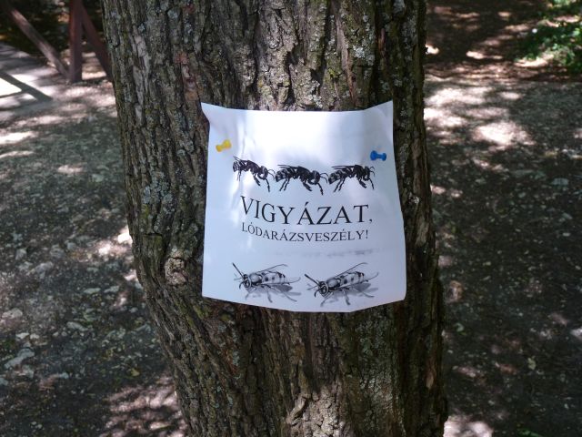 A képhez tartozó alt jellemző üres; 20241018_101325.jpg a fájlnév