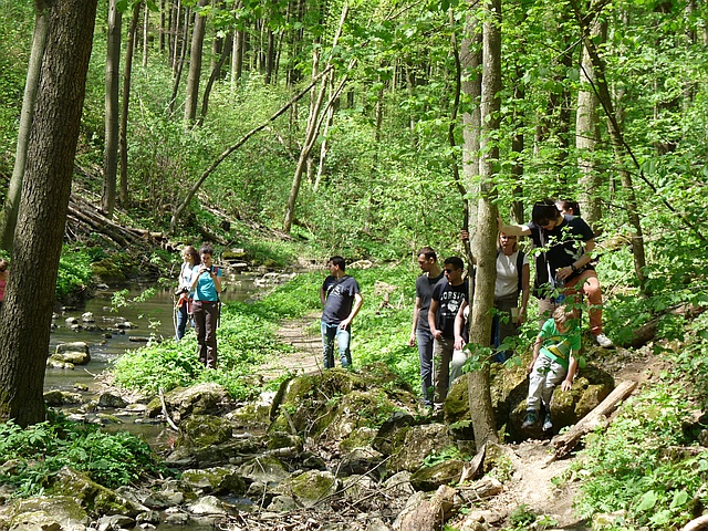 A képhez tartozó alt jellemző üres; 20241018_101325.jpg a fájlnév
