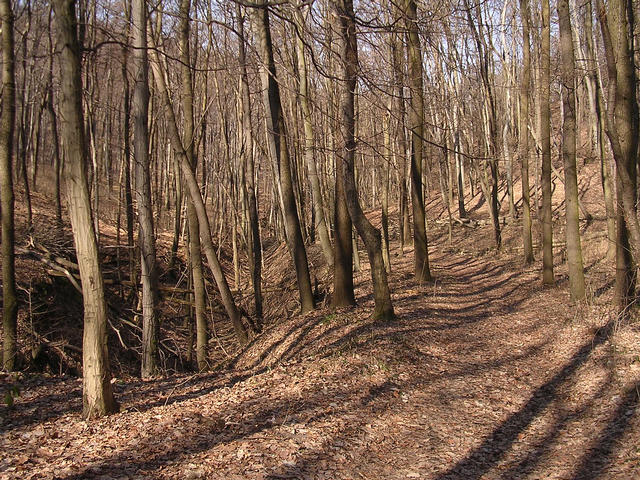 A képhez tartozó alt jellemző üres; 20241018_101325.jpg a fájlnév