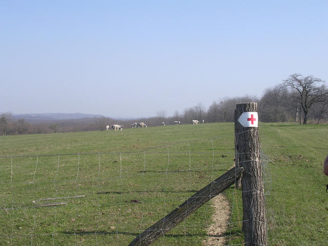 A képhez tartozó alt jellemző üres; 20241018_101325.jpg a fájlnév
