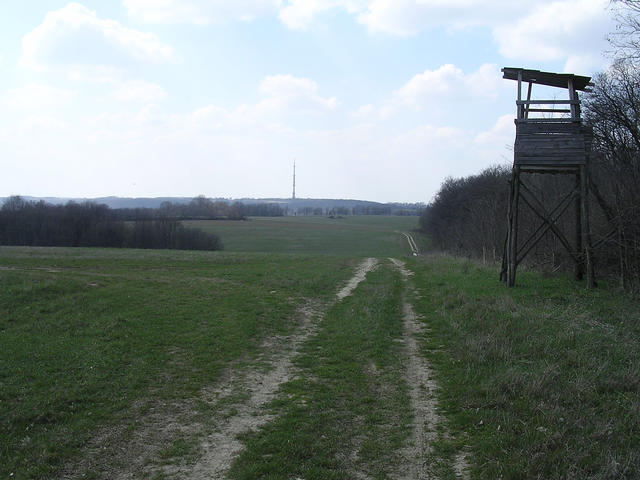 A képhez tartozó alt jellemző üres; 20241018_101325.jpg a fájlnév