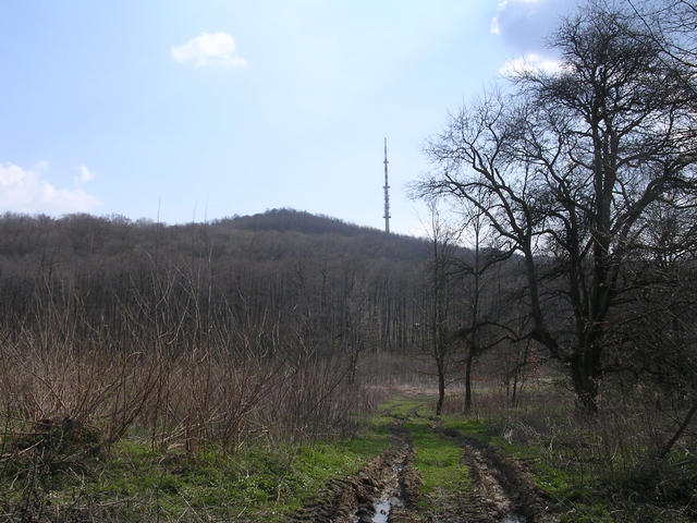 A képhez tartozó alt jellemző üres; 20241018_101325.jpg a fájlnév